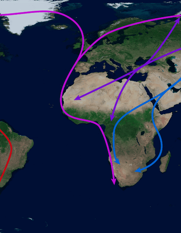 Droit international de la migration : comprendre les règles qui encadrent les mobilités humaines
