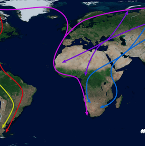 Droit international de la migration : comprendre les règles qui encadrent les mobilités humaines