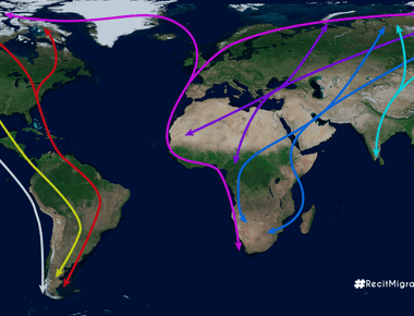 Droit international de la migration : comprendre les règles qui encadrent les mobilités humaines
