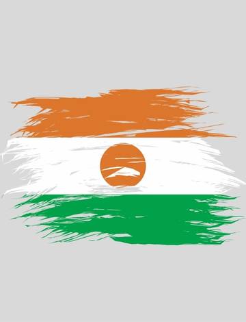 Festival des Africains du Niger : culture, inclusion et ambitions durables