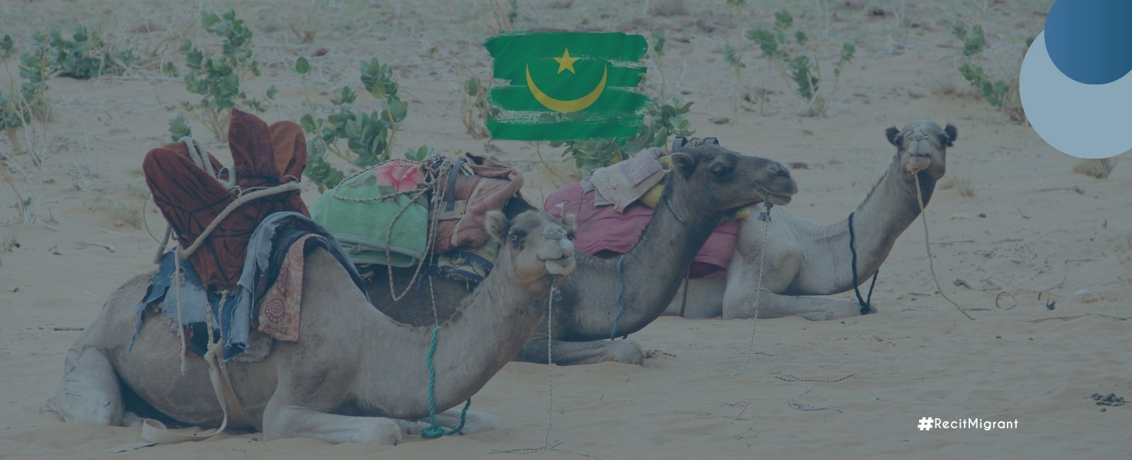 La Mauritanie, nouveau carrefour migratoire de l’Atlantique : entre contrôle sécuritaire et plaidoyer pour une approche solidaire