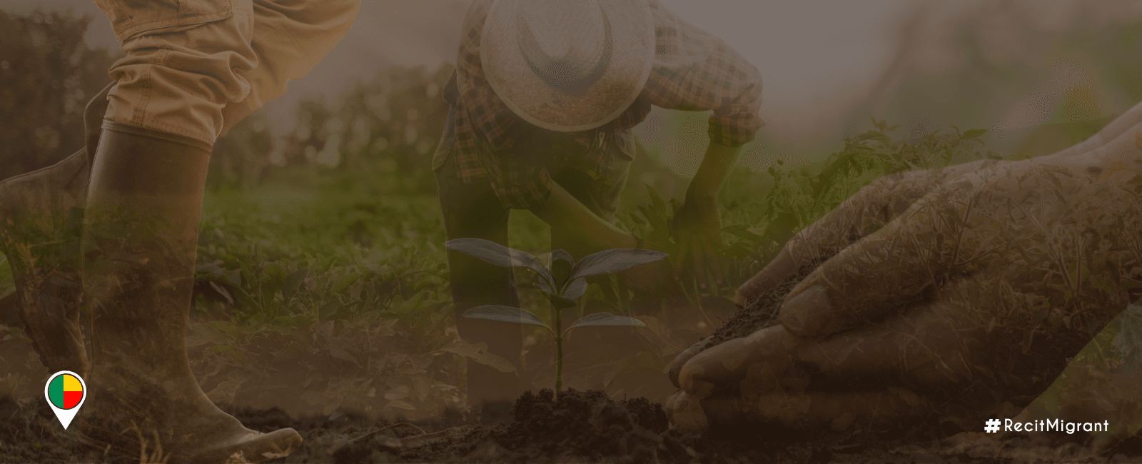 Migrant farm workers, the backbone of agriculture in central Benin