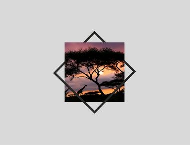 ‘Circular migration’ as an African mobility model 