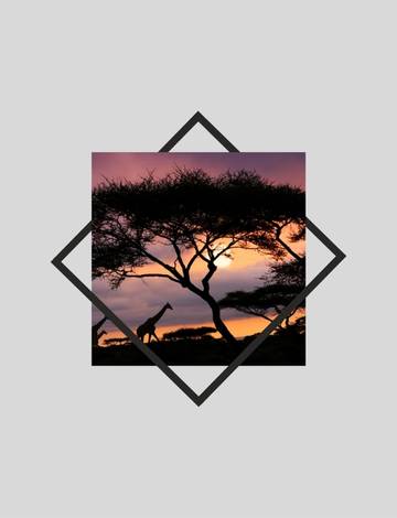 ‘Circular migration’ as an African mobility model