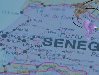 Sénégal : Modèle d’ouverture migratoire, entre solidarité historique et défis administratifs