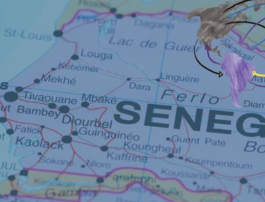 Sénégal : Modèle d’ouverture migratoire, entre solidarité historique et défis administratifs