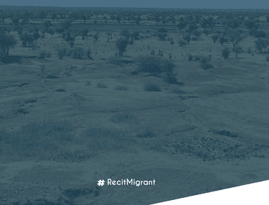 Alarme Phone Sahara report exposes surge in deportations by Algeria in 2024