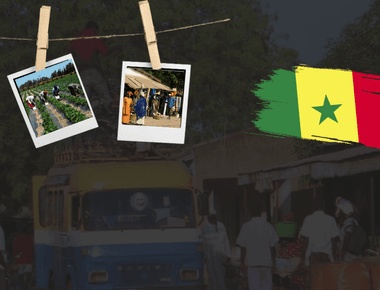 Impacts de la migration dans les régions de Ziguinchor et Kédougou du Sénégal