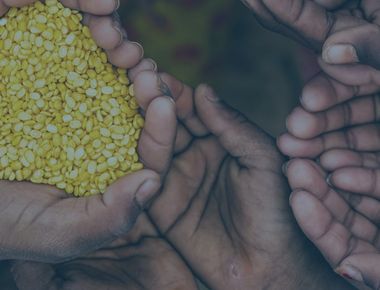 Crise humanitaire au Niger : 4,3 millions de personnes en besoin d’assistance