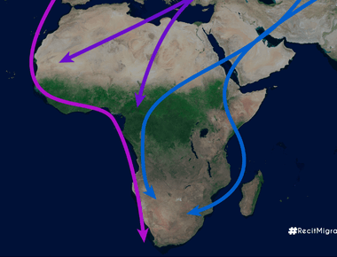 Migration climatique : mythe ou réalité en Afrique ?