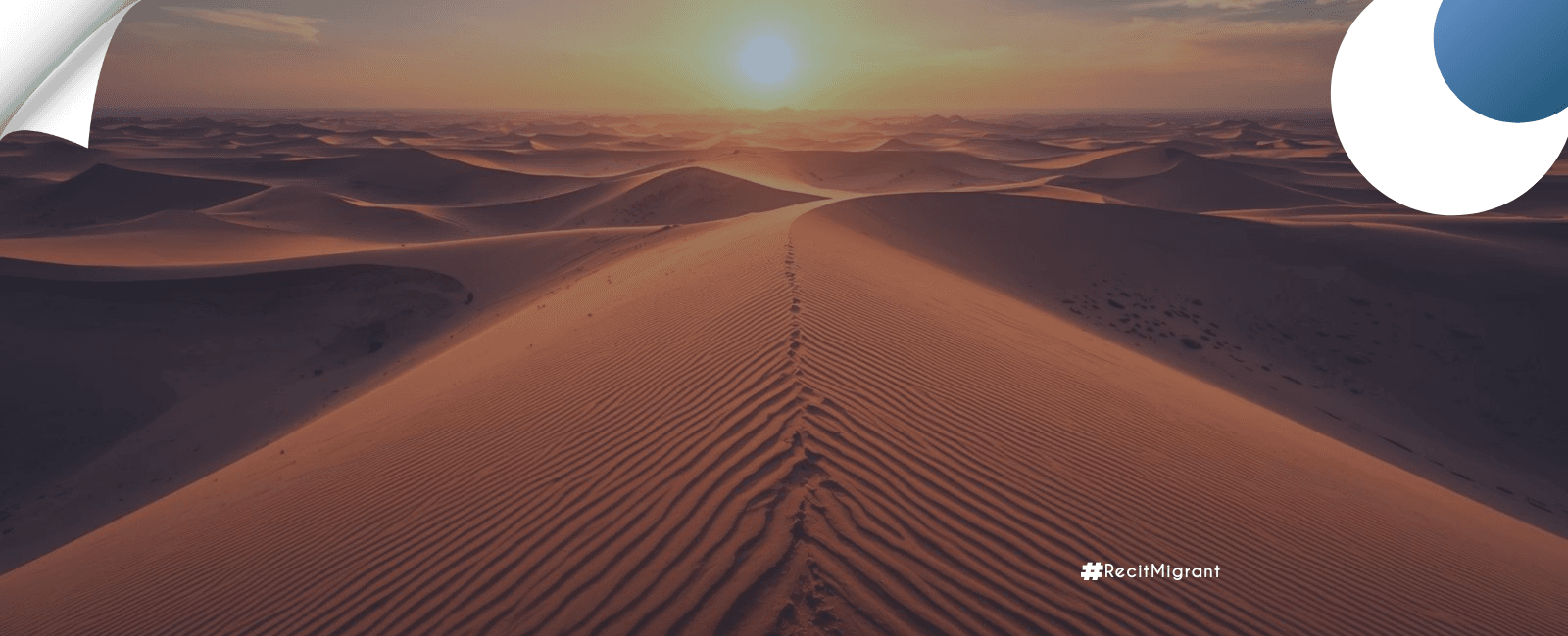 Assamaka, le terminus du désert : 34 000 destins brisés en 2025